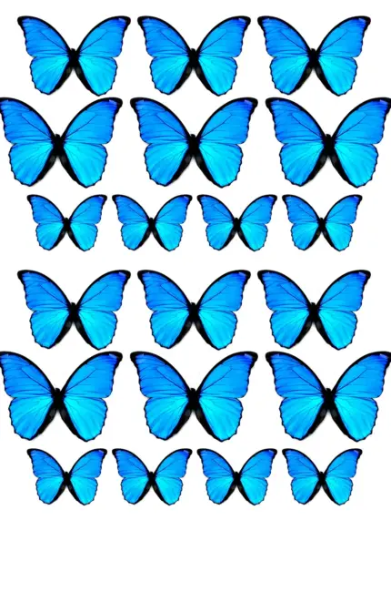 Голубая бабочка. Своими руками