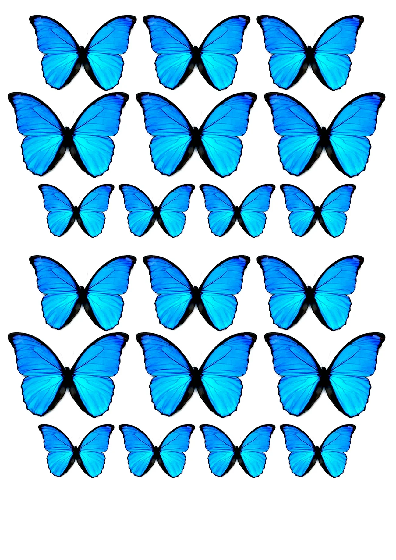 Голубая бабочка. Своими руками