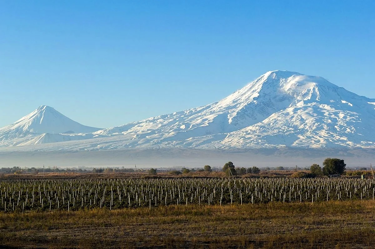Гора Арарат Армения. Красивая картинка