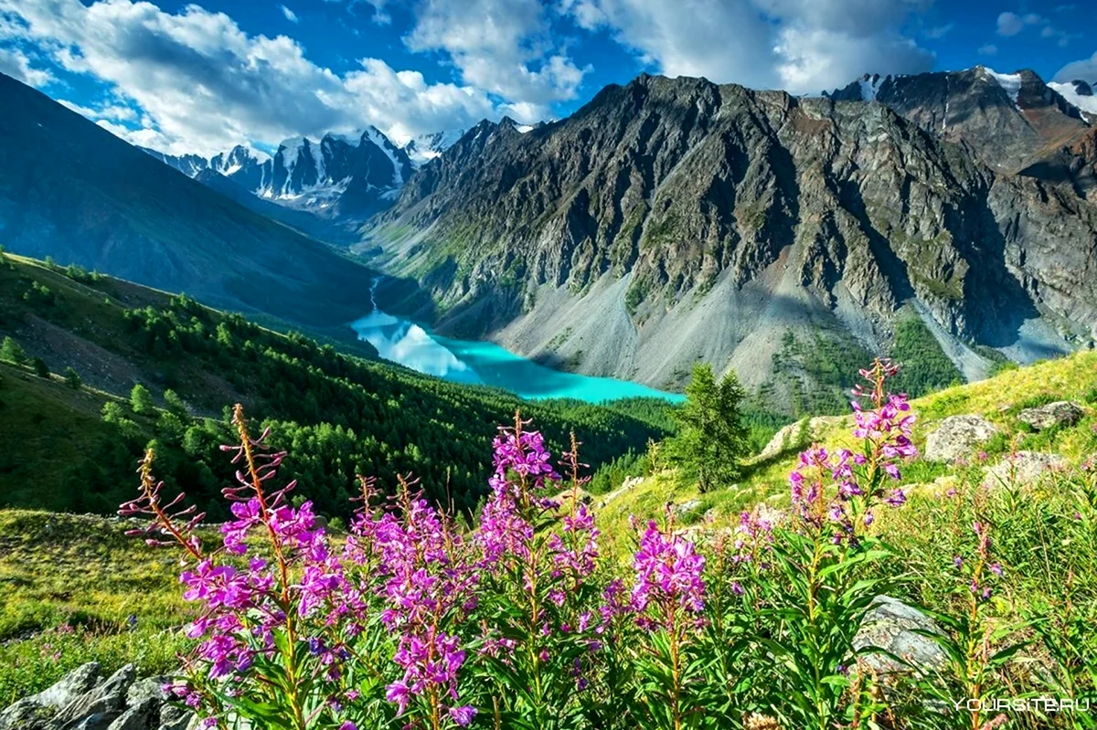 Горно Алтайск природа. Красивая картинка