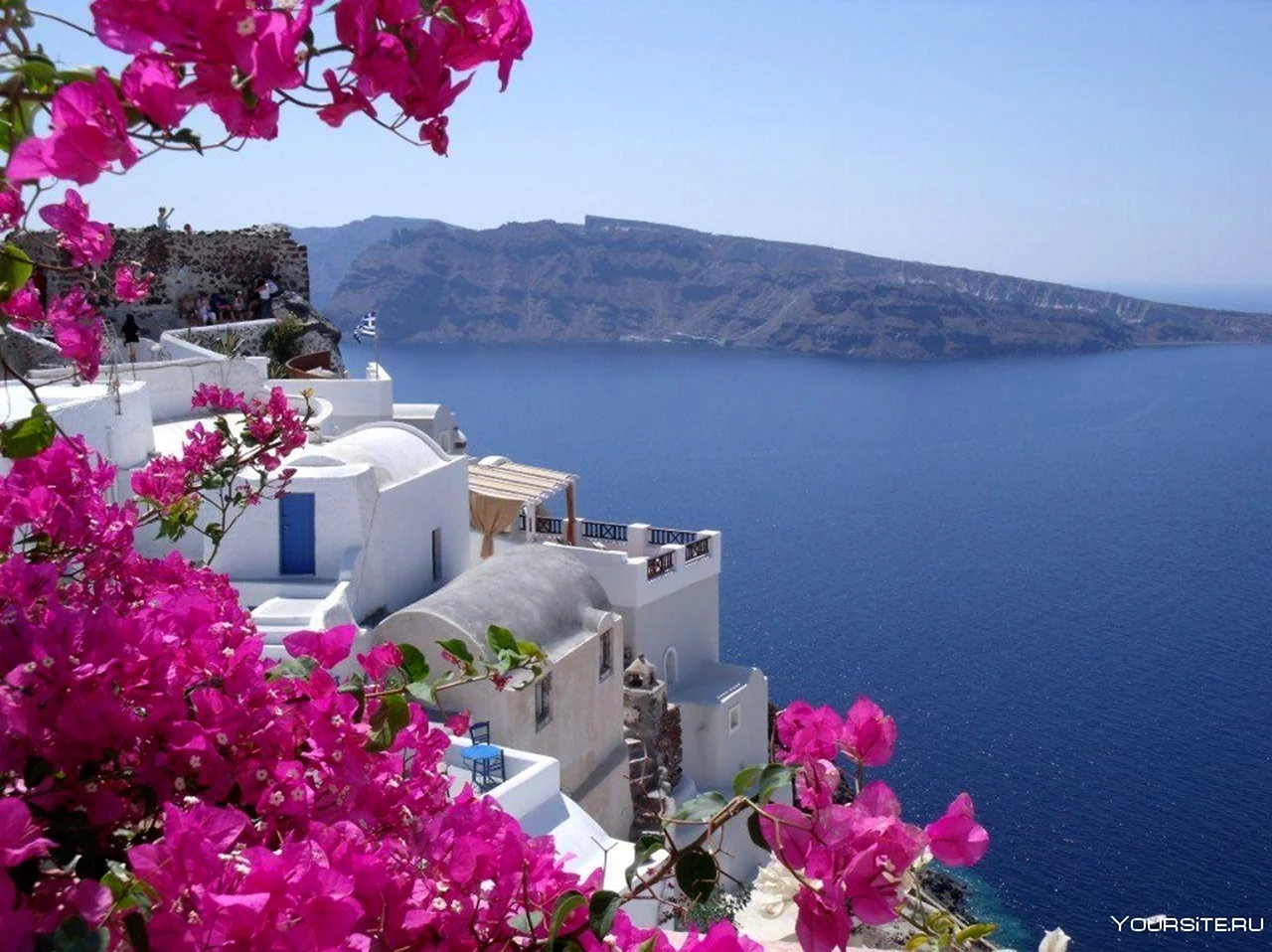 Греция остров Санторини цветы. Картинка