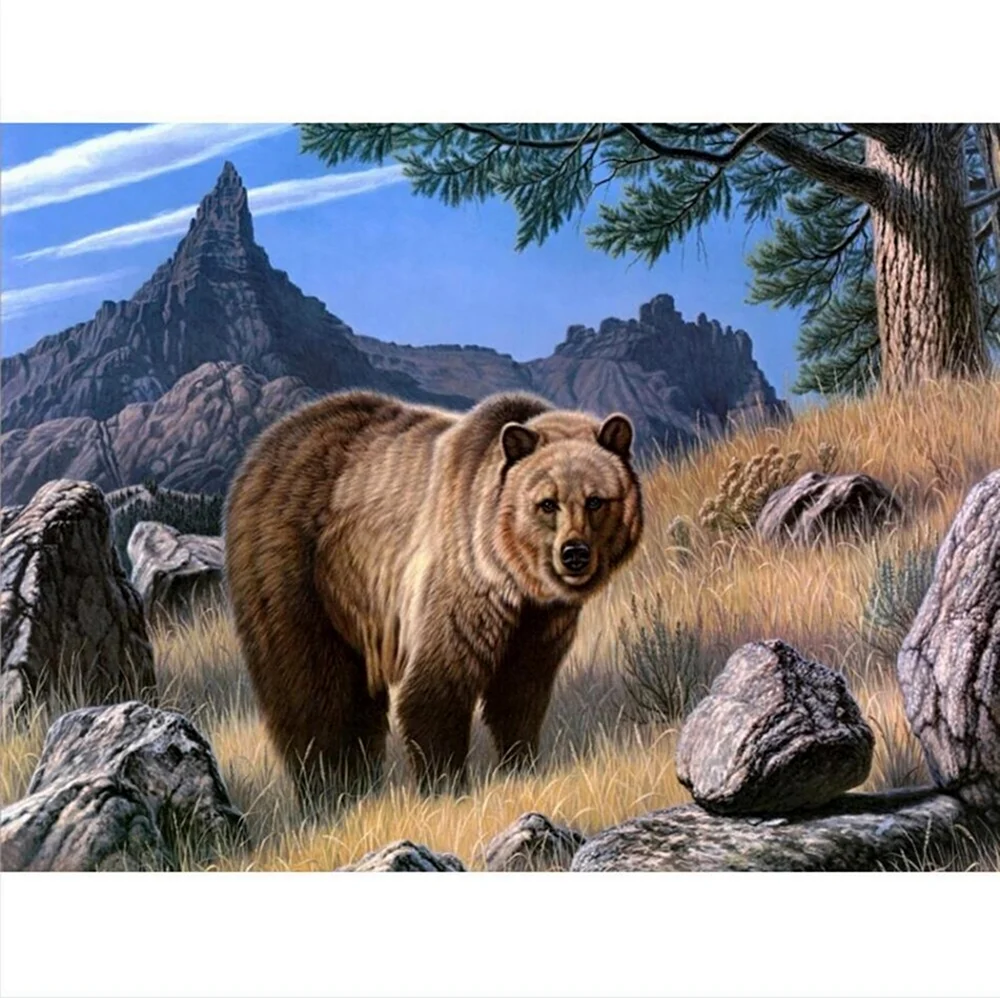 Гризли североамериканский бурый медведь. Красивое животное