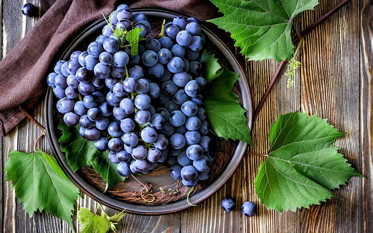 Грозди винограда Изабелла. Картинка