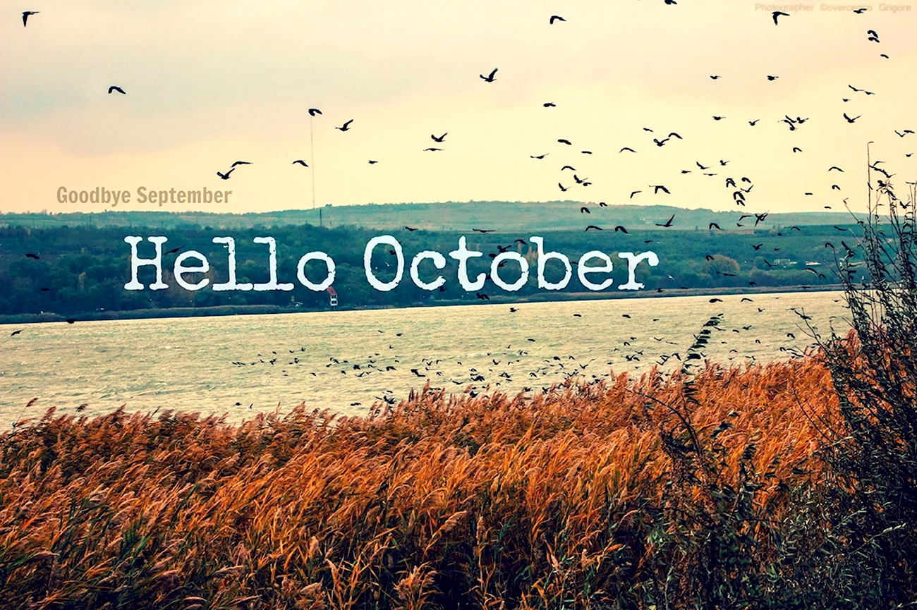 Hello октябрь. Картинка