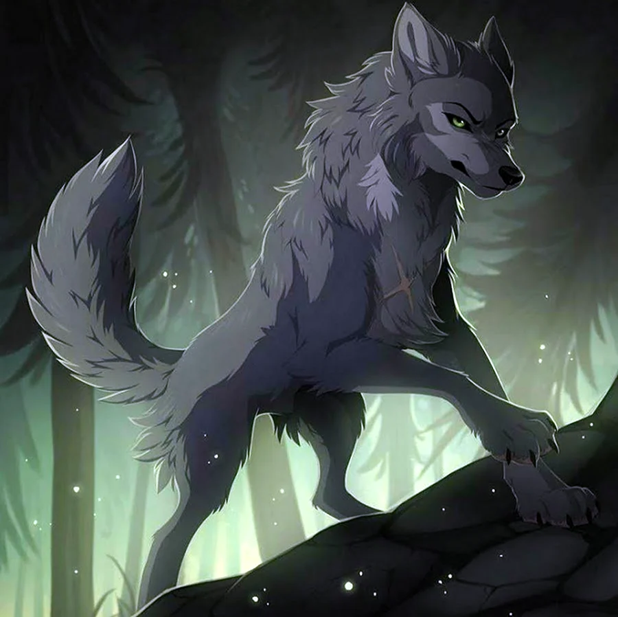 Hioshiru волк. Картинка