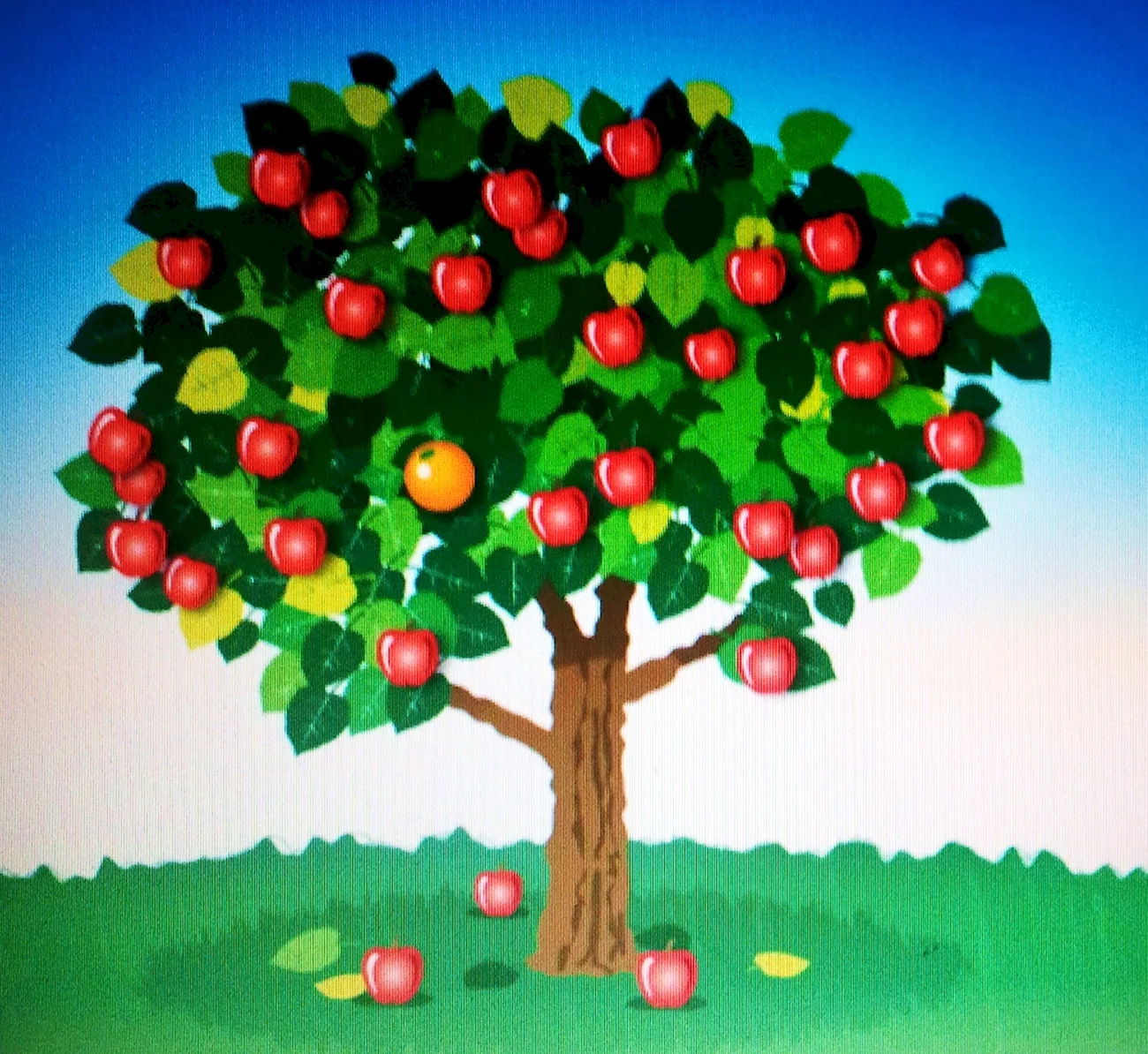 Яблоки на дереве. Картинка