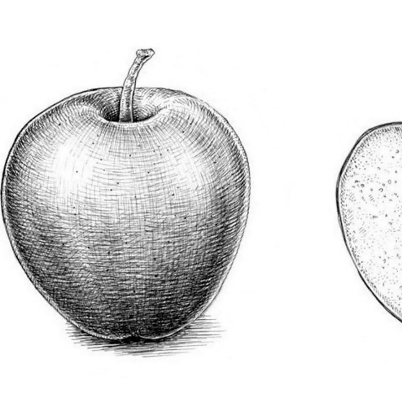 Яблоко рисунок карандашом. Для срисовки