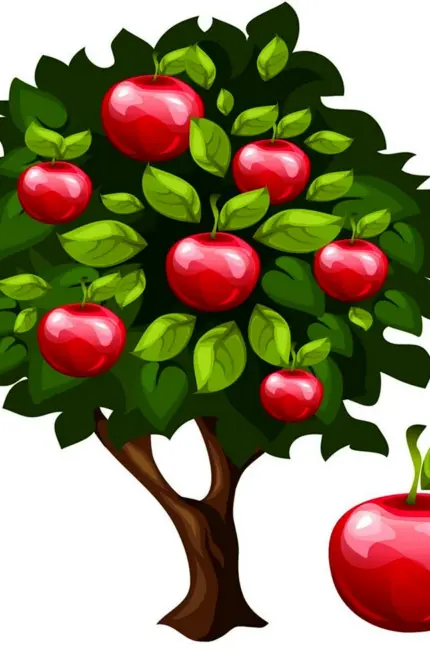 Яблоня дерево. Картинка
