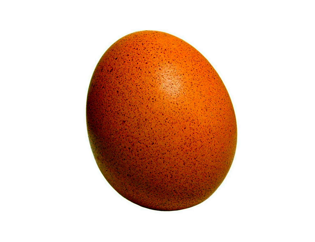 Яйцо. Картинка