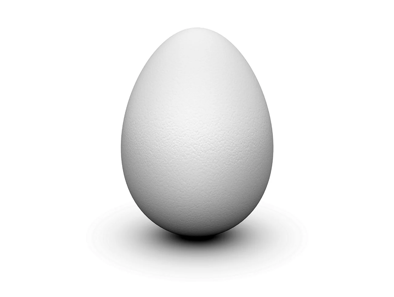 Яйцо на белом фоне. Картинка