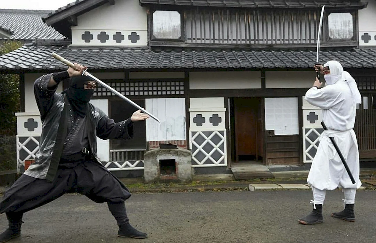 Япония ниндзя ниндзюцу. Прикольная картинка