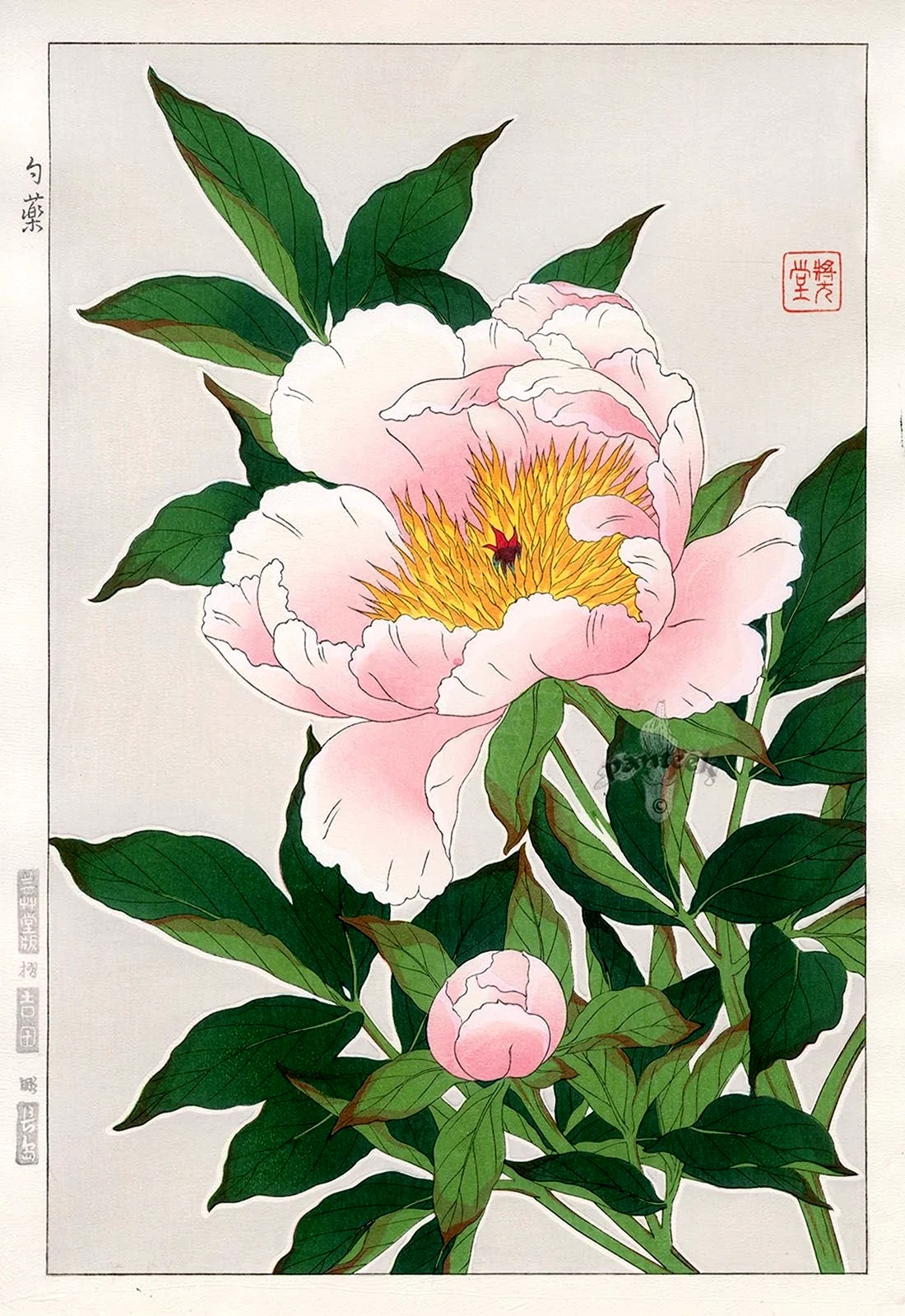 Японская гравюра Ксилография пион. Красивая картинка