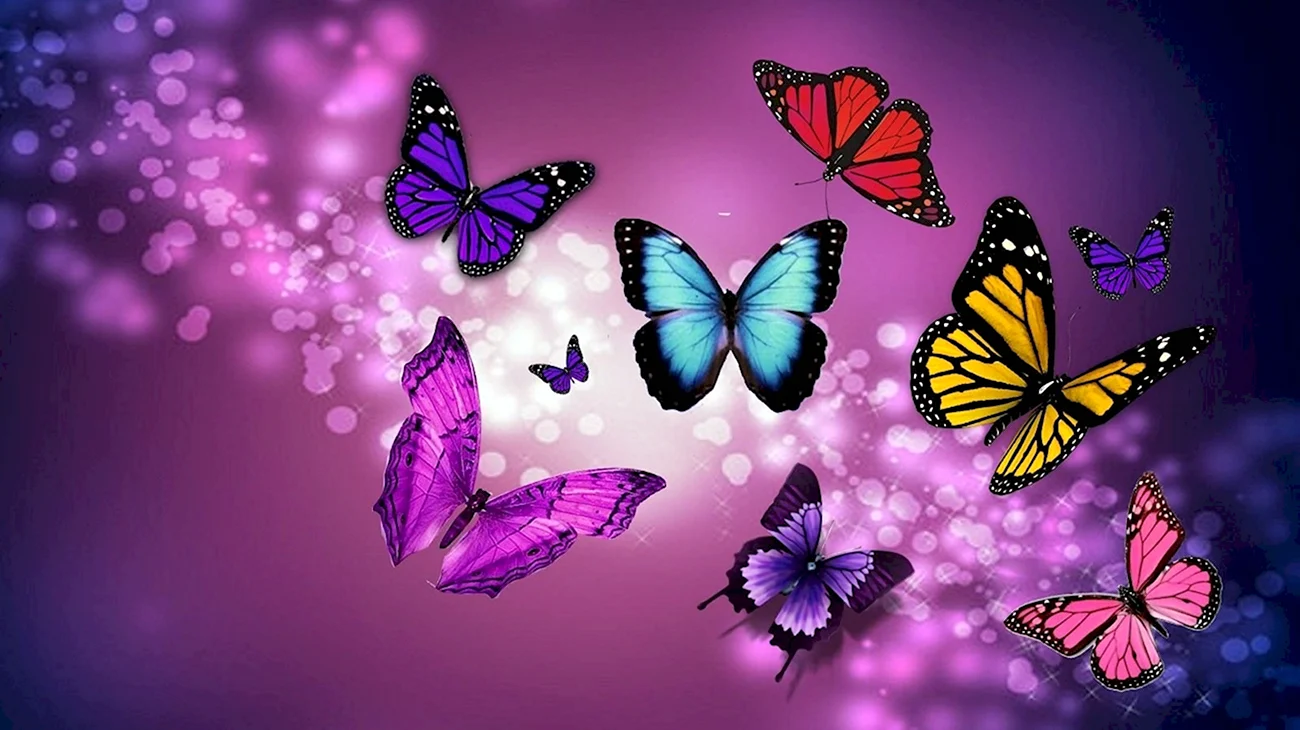 Яркие бабочки. Красивая картинка