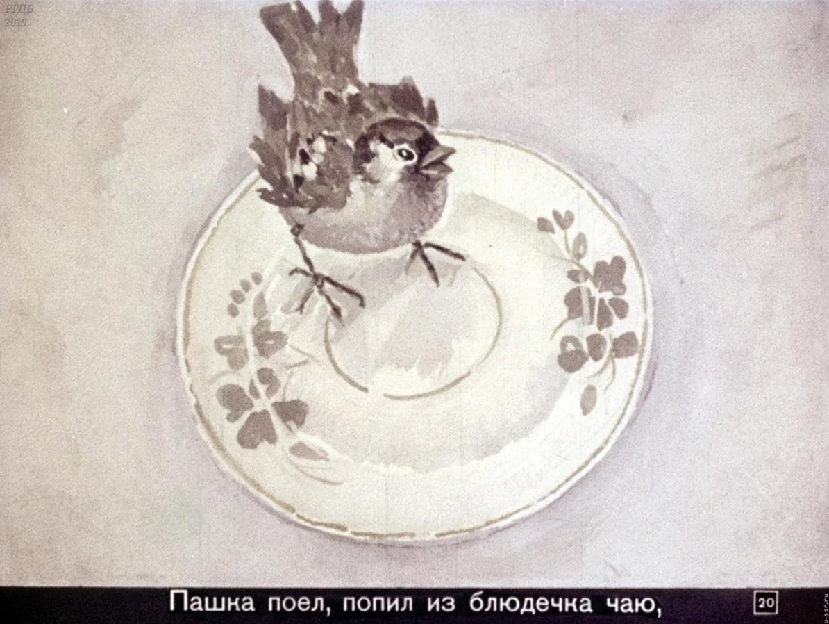 Иллюстрации к рассказу Паустовского растрепанный Воробей. Для срисовки