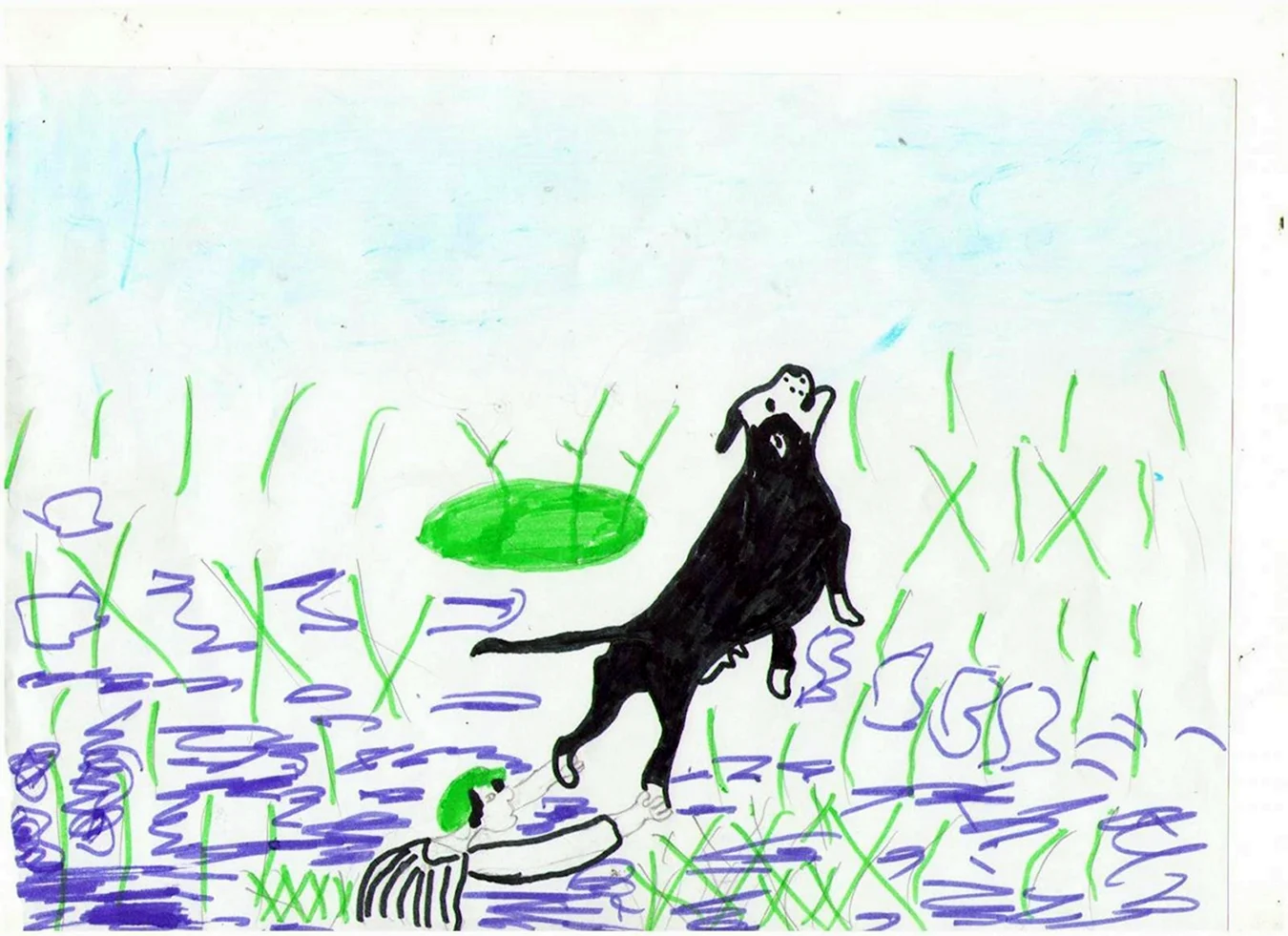 Иллюстрация к рассказу Пришвина кладовая солнца. Для срисовки