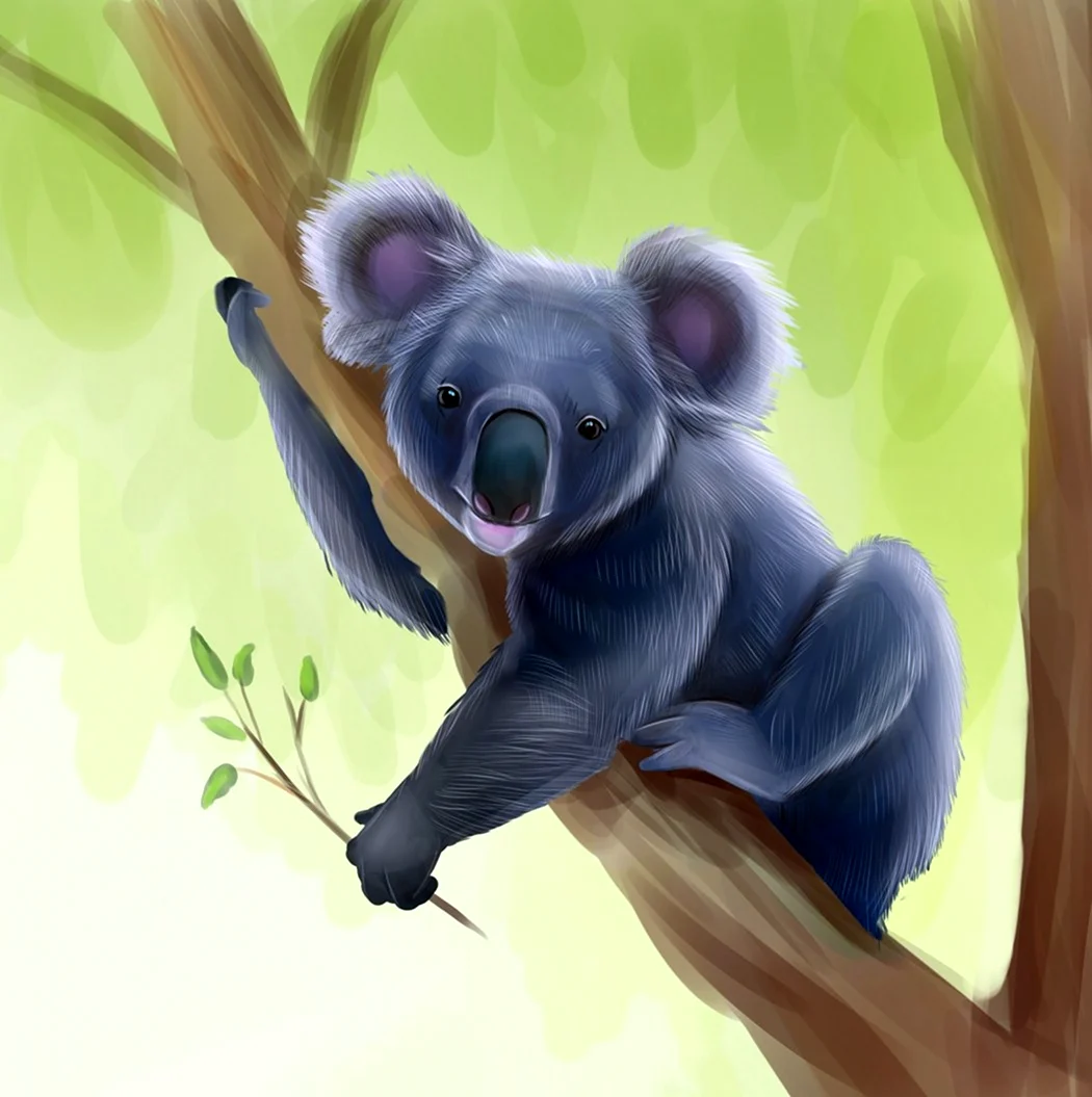Иллюстрация коала на дереве. Красивое животное