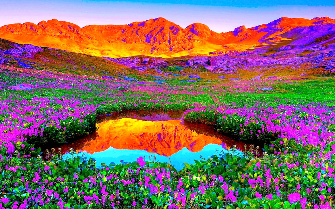 Индийский парк «Долина цветов». Красивая картинка