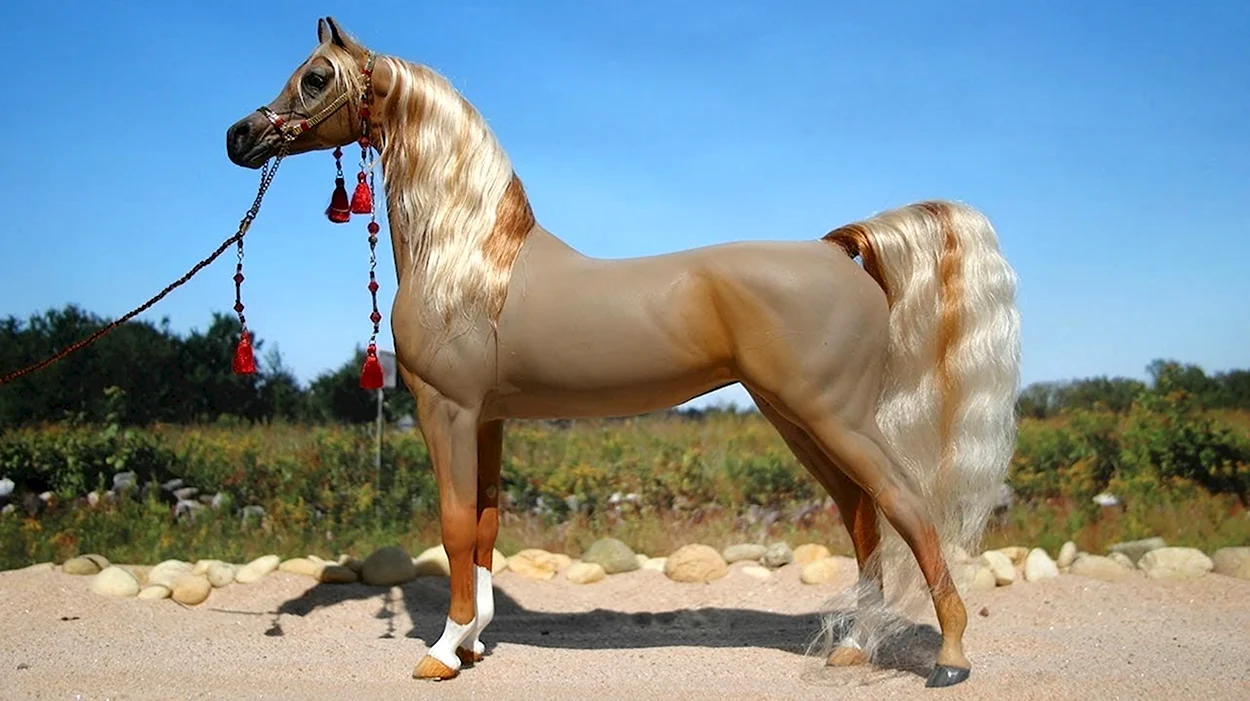 Изабелловая арабская лошадь. Красивое животное