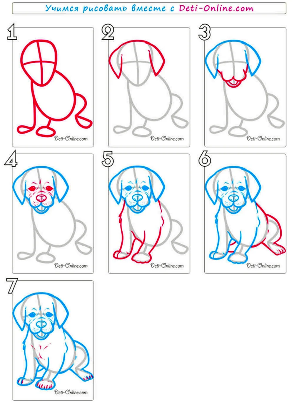 Как нарисовать собачку поэтапно для детей. Для срисовки