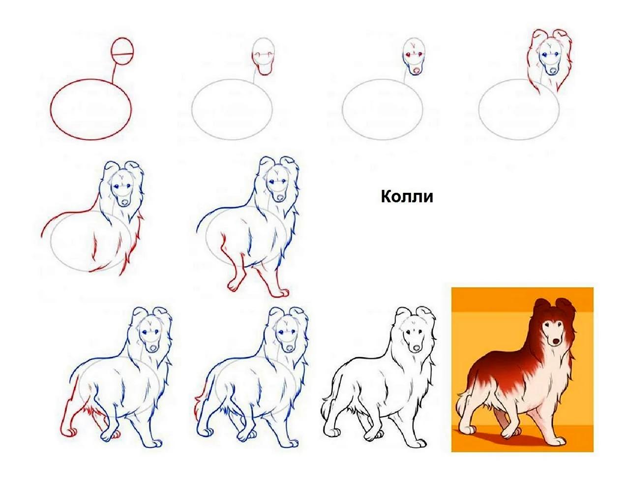 Как нарисовать собаку. Для срисовки