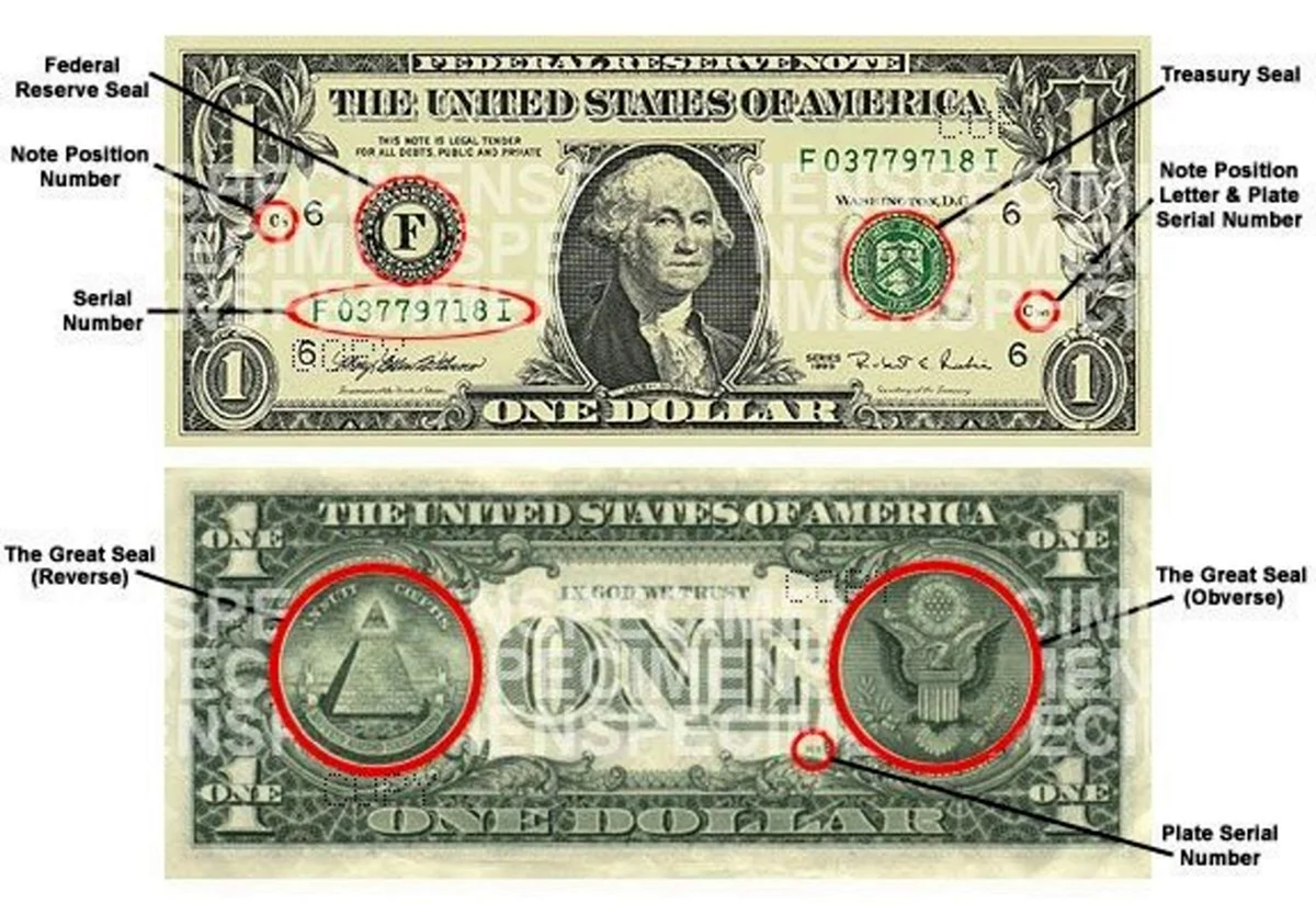 Как выглядит один доллар. Картинка