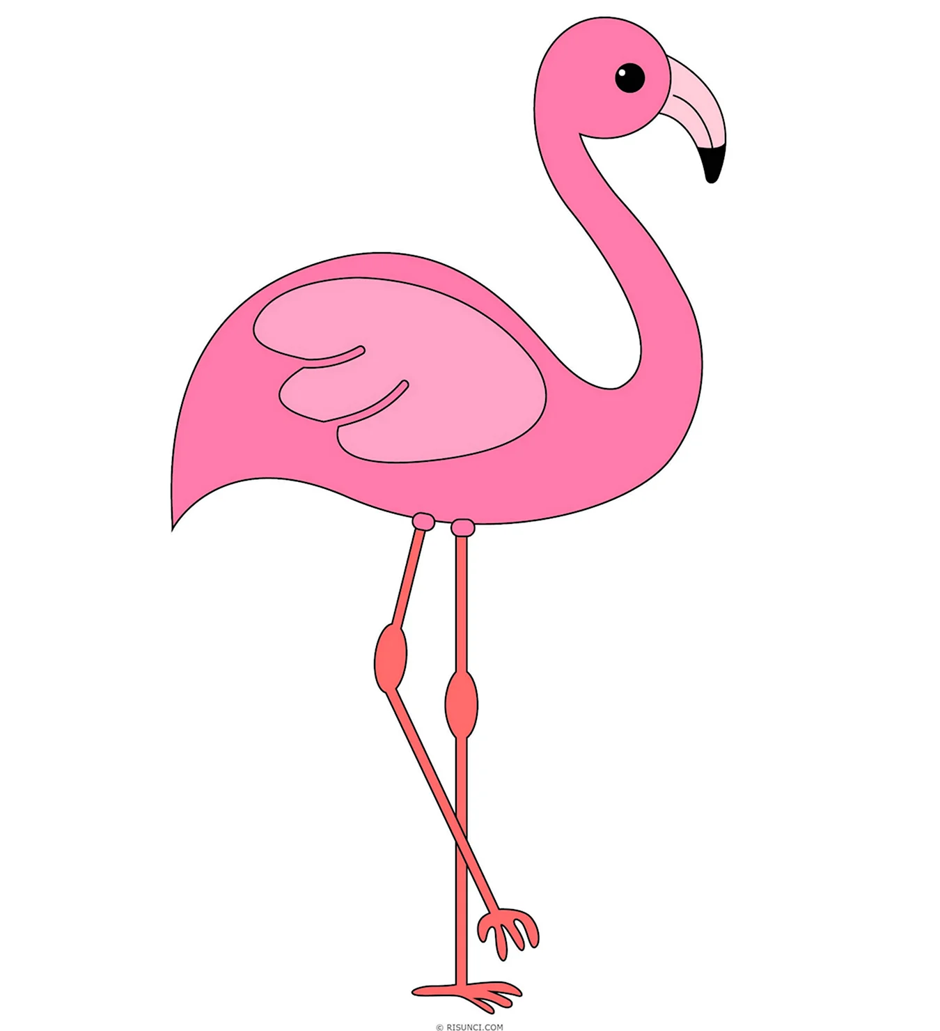 Какинарисовать Фламинго. Для срисовки