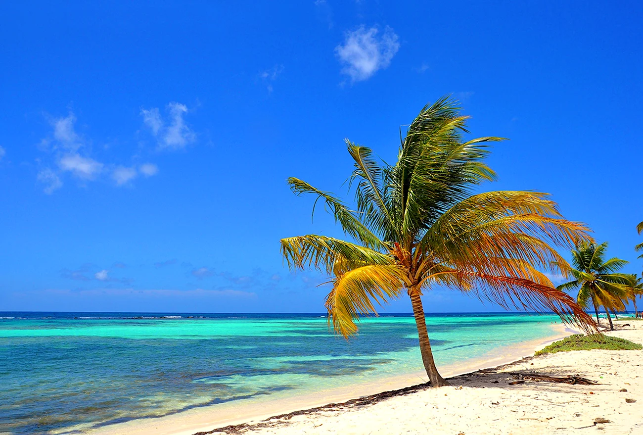 Карибское море острова пляжи. Картинка
