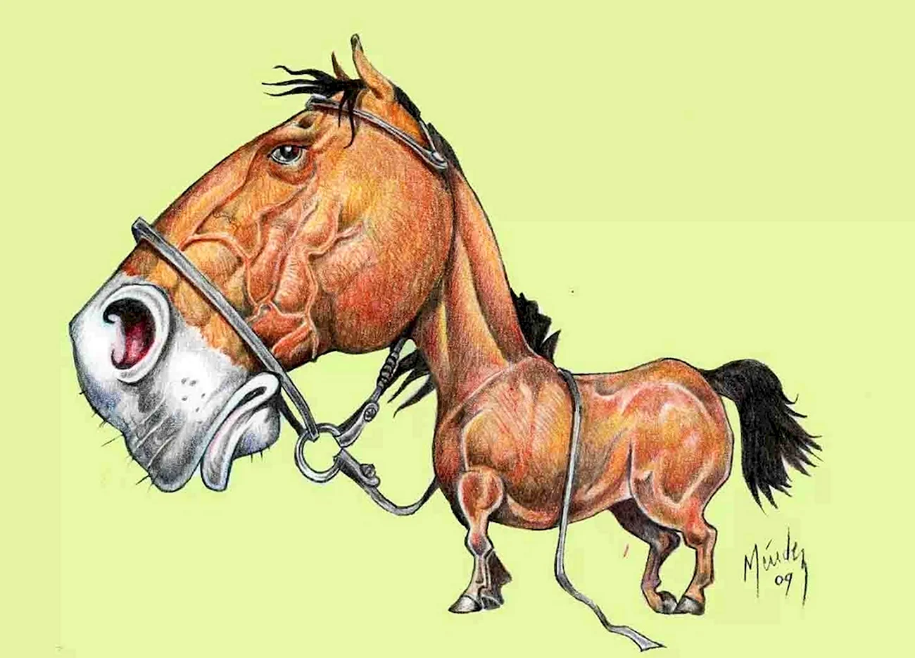 Карикатурная лошадь. Картинка