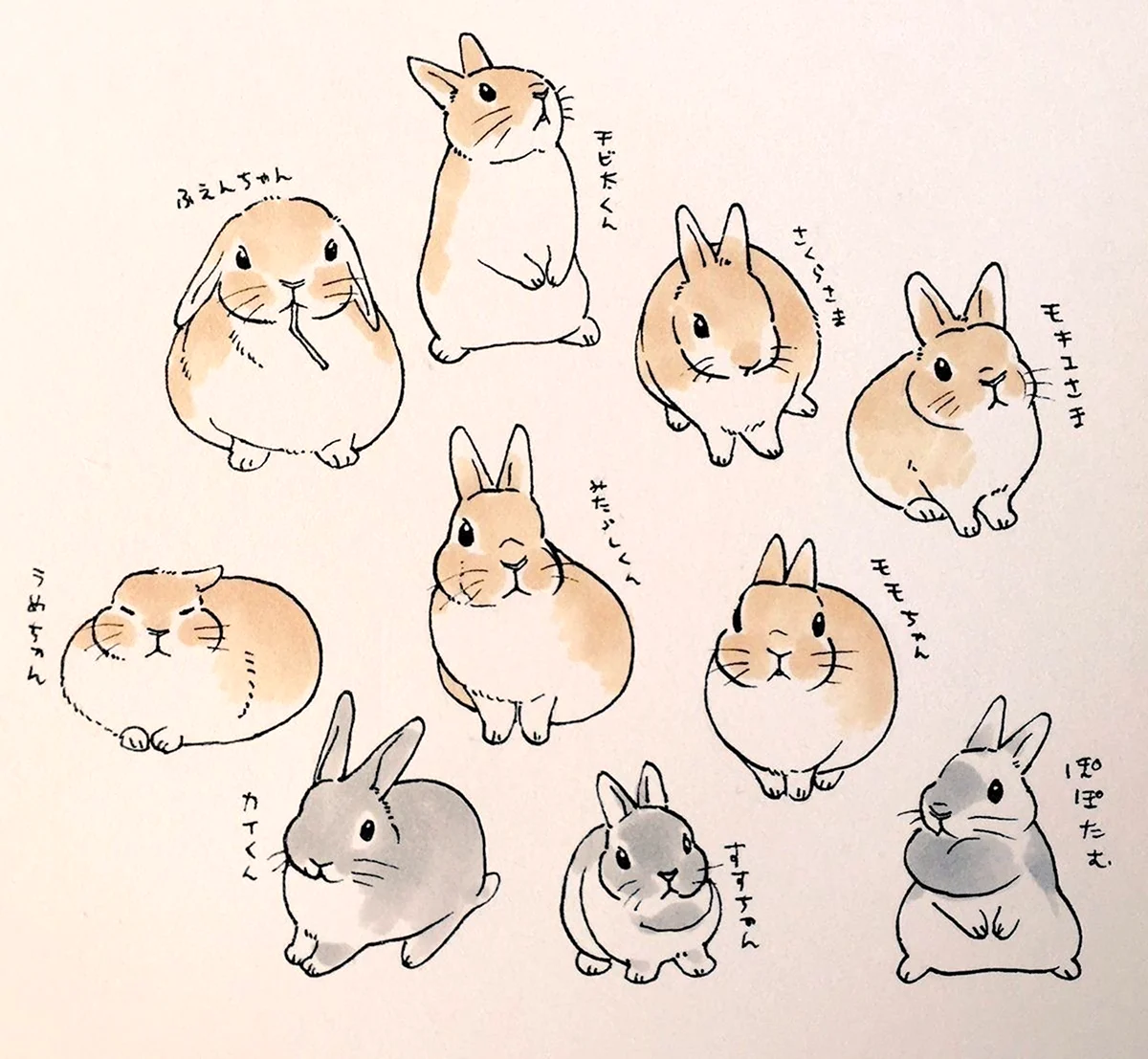 Картинки для срисовки милые кролики. Для срисовки
