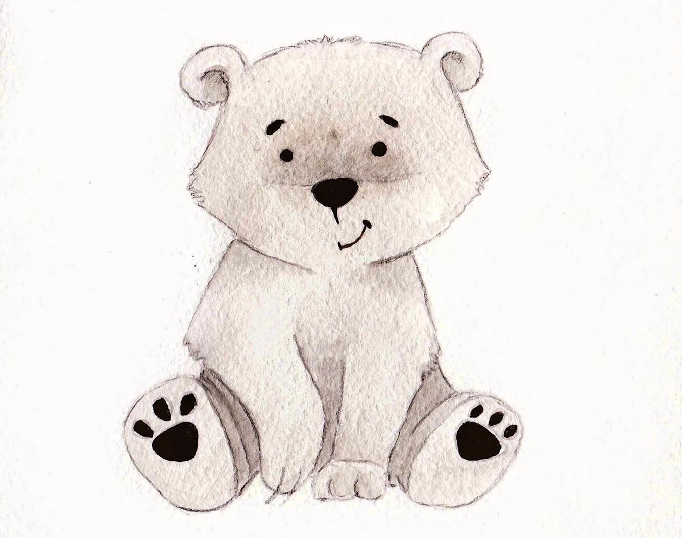 Картинки медведя для срисовки. Для срисовки