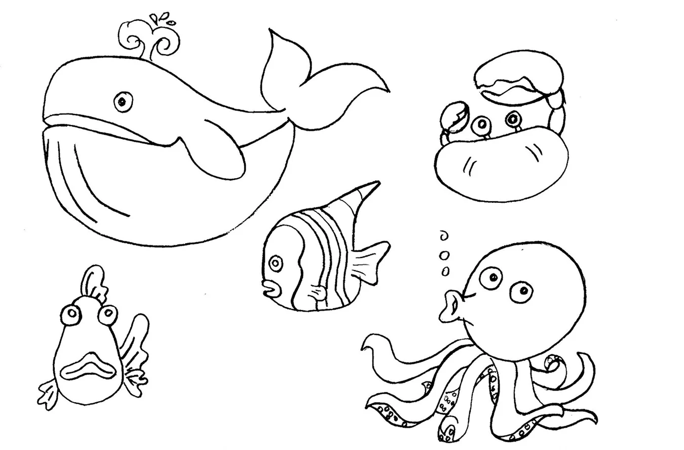Картинки морских обитателей для срисовки. Для срисовки
