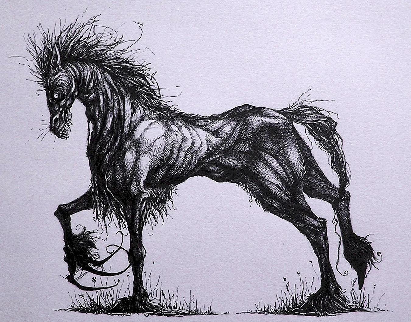 Келпи лошадь демон. Для срисовки