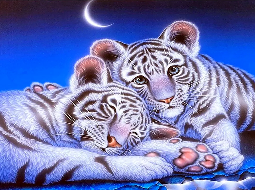 Кентаро Нишино тигры. Открытка с пожеланием спокойной ночи