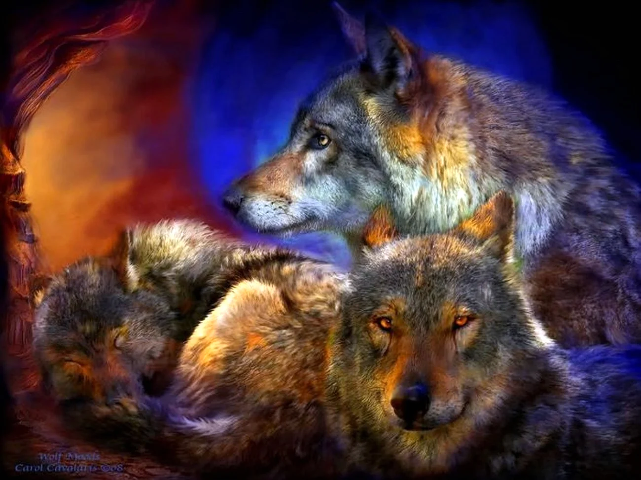 Кэрол Каваларис волки. Красивая картинка