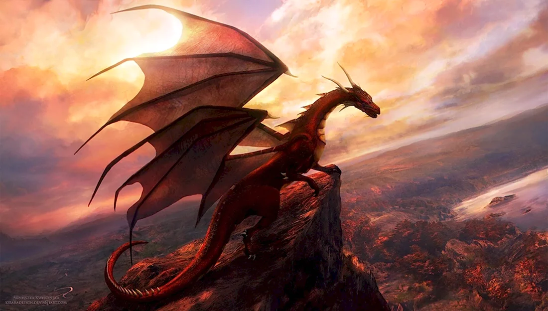 Керровитарр дракон. Красивые картинки животных