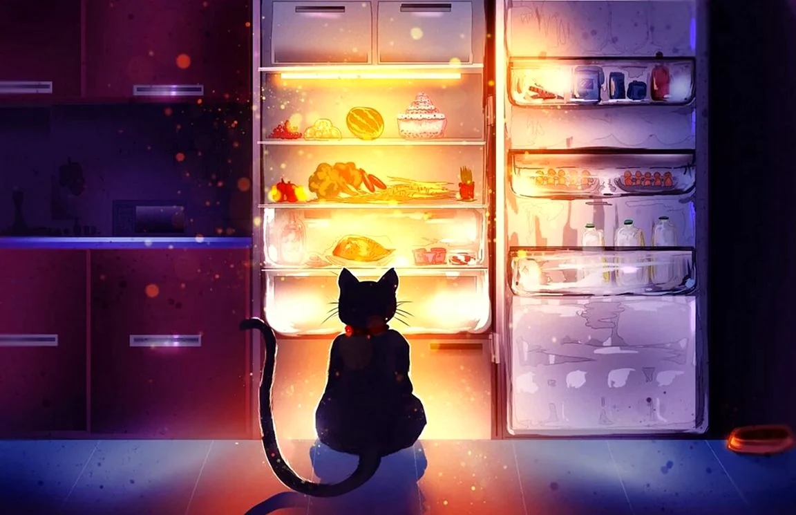 Холодильник ночью. Картинка
