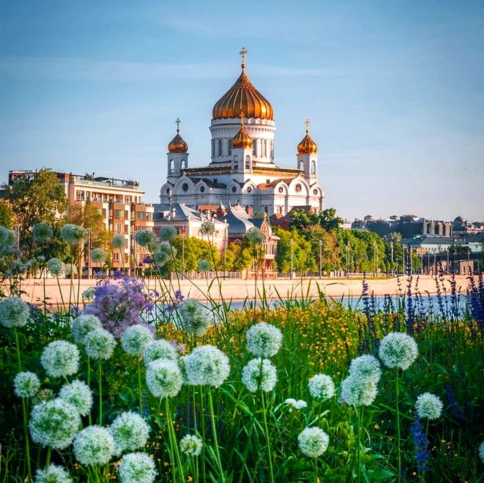 Храм Христа Спасителя в Москве лето. Поздравление