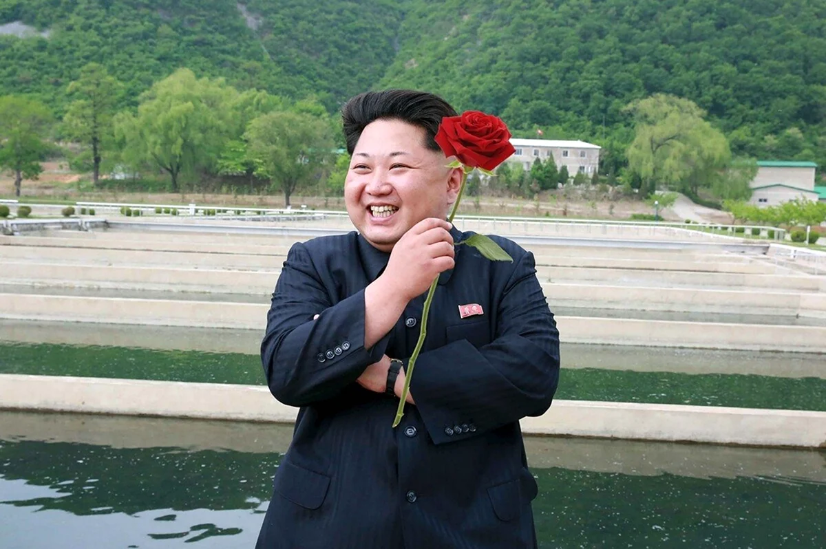 Ким Чен Ын 2012. Прикольная картинка
