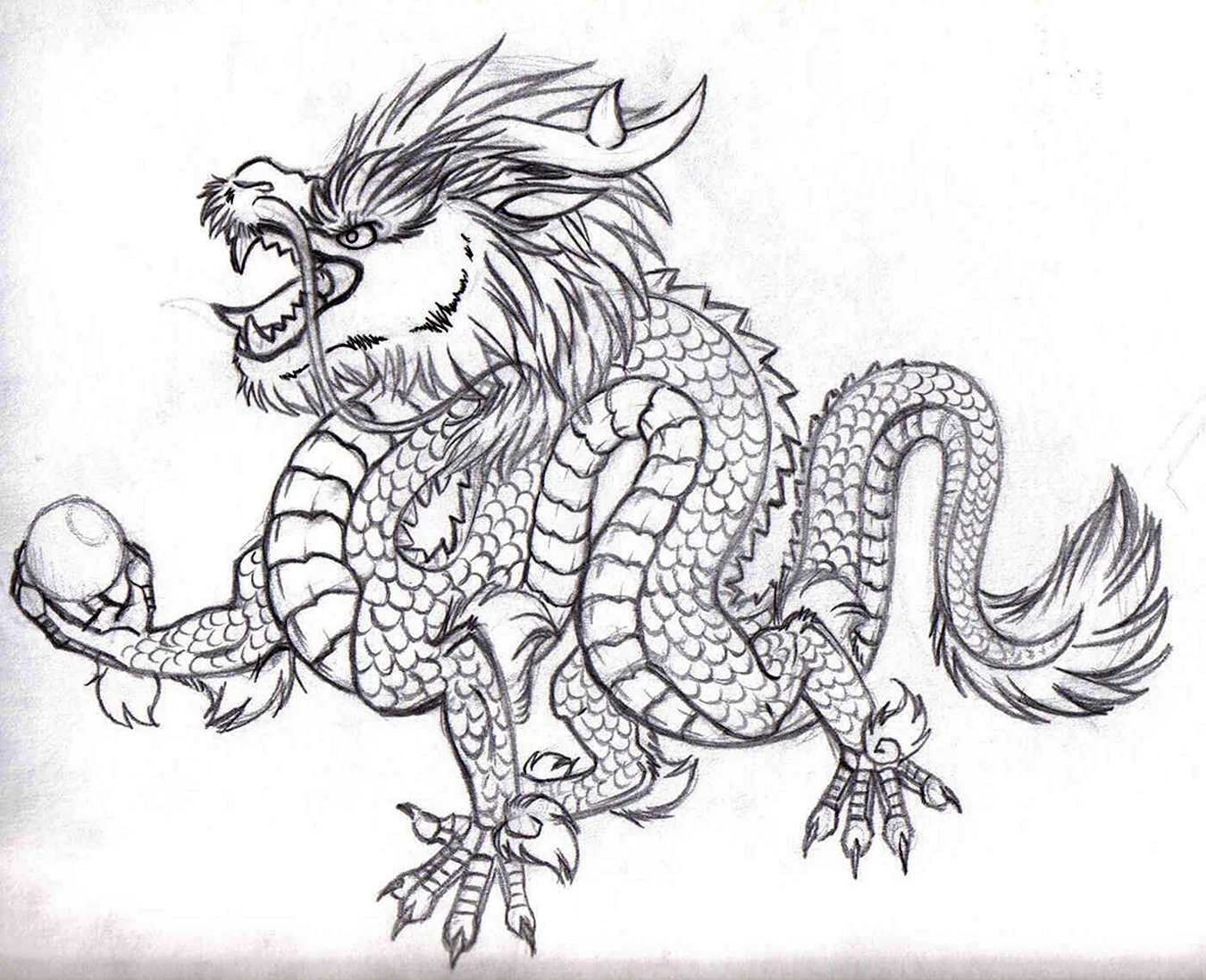 Китайский дракон. Для срисовки