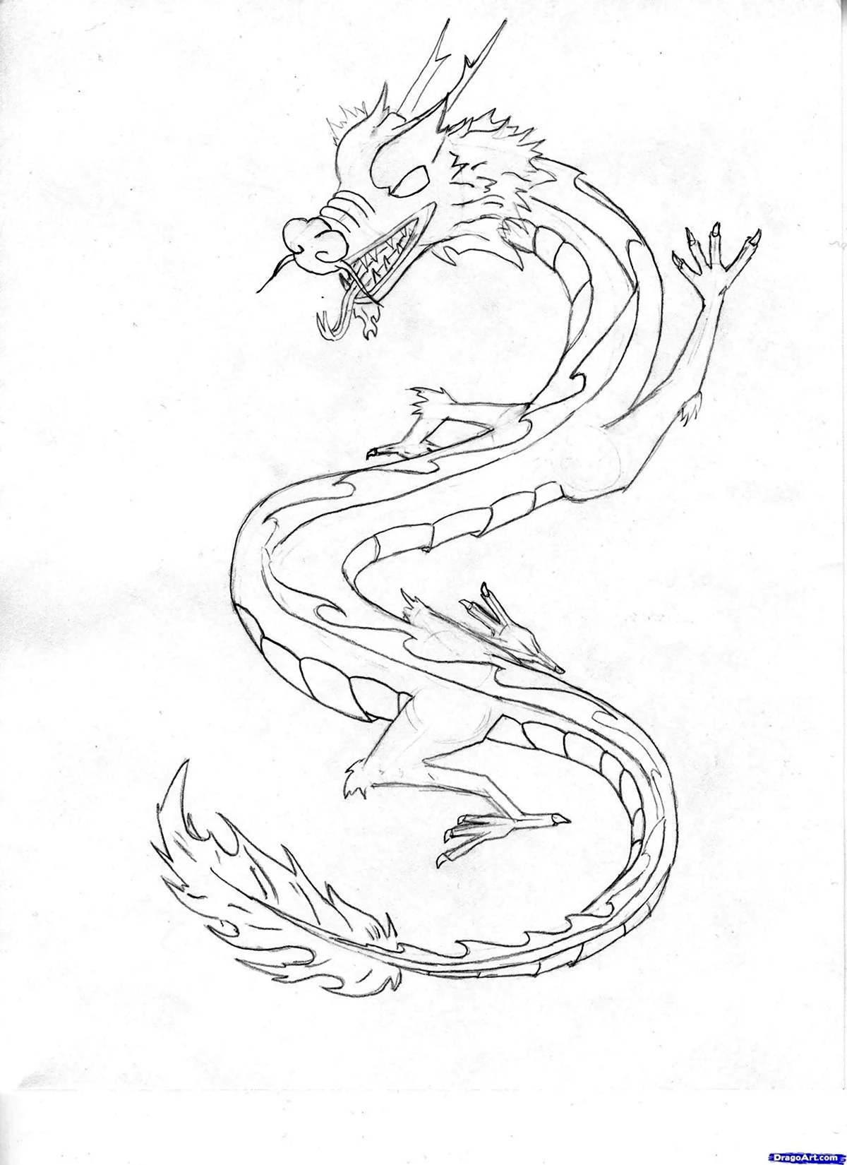 Китайский дракон эскиз лёгкий. Для срисовки