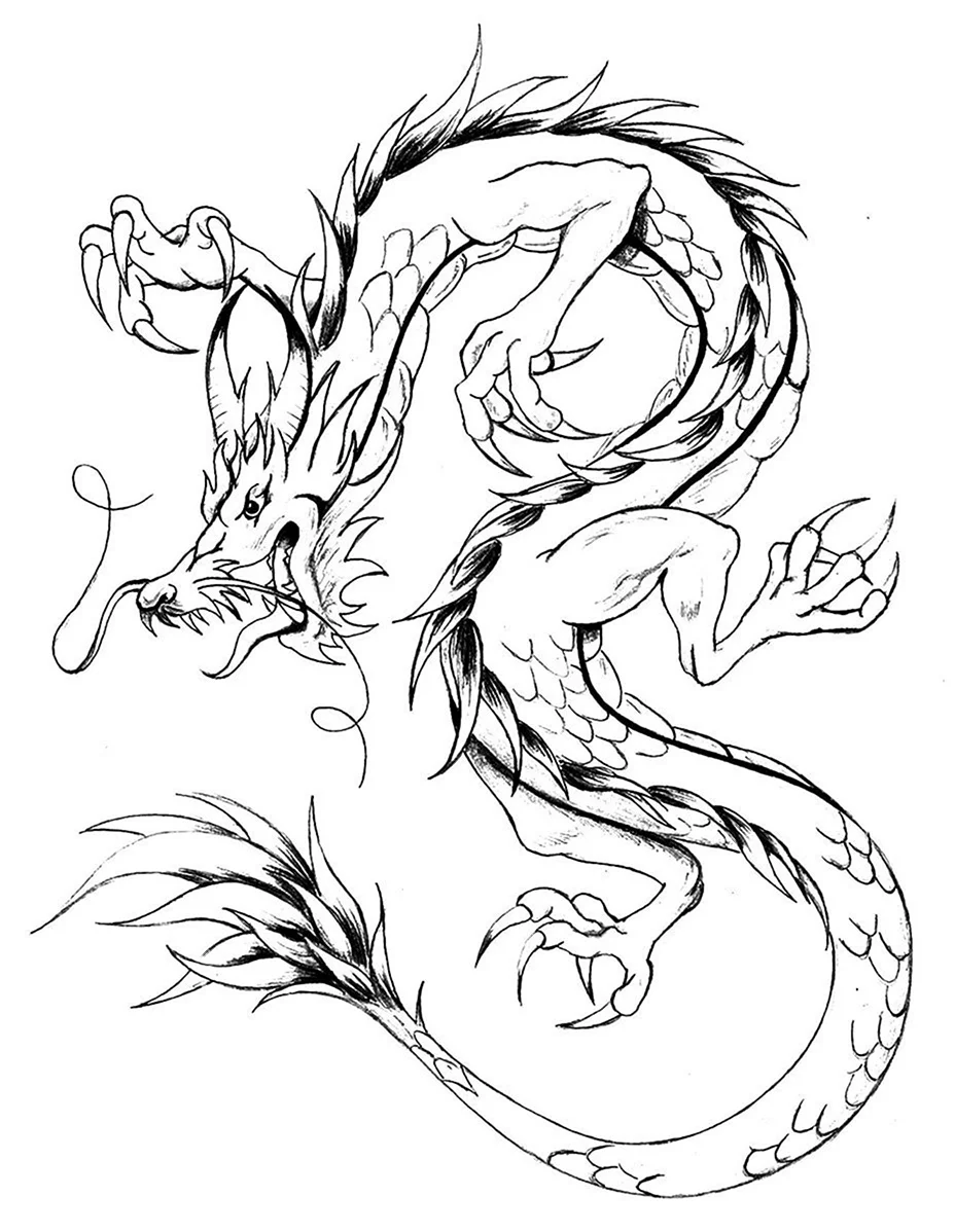 Китайский дракон набросок. Для срисовки