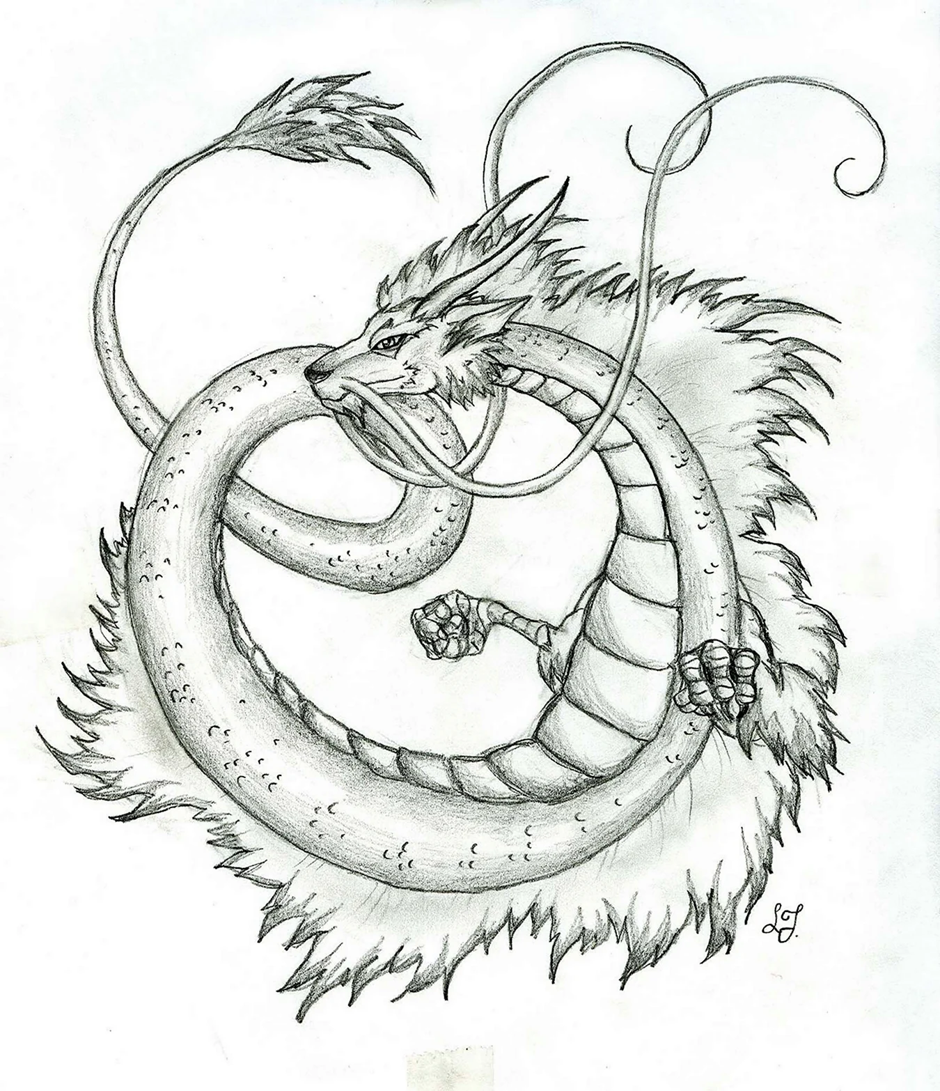 Китайский дракон набросок. Для срисовки