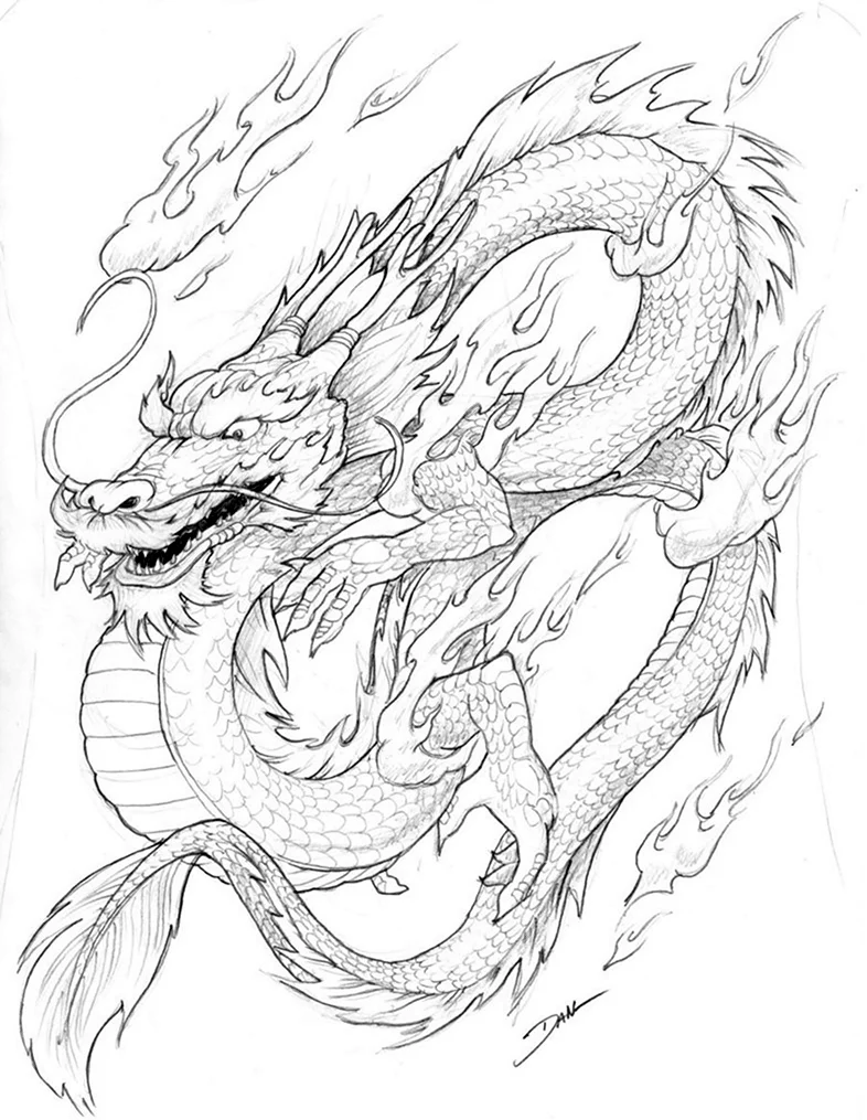 Китайский дракон раскраска. Для срисовки