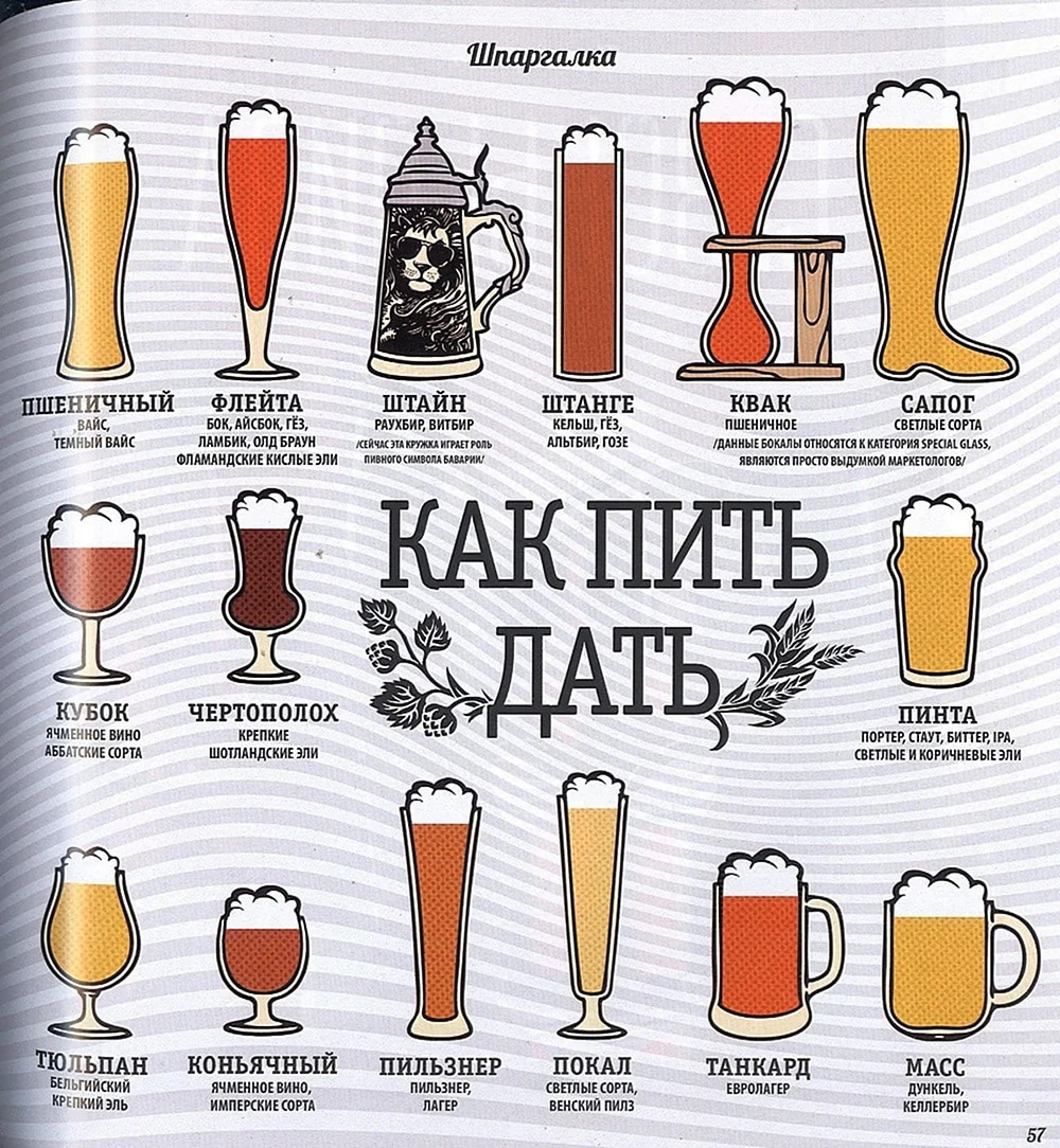 Классификация бокалов для пива. Прикольная картинка