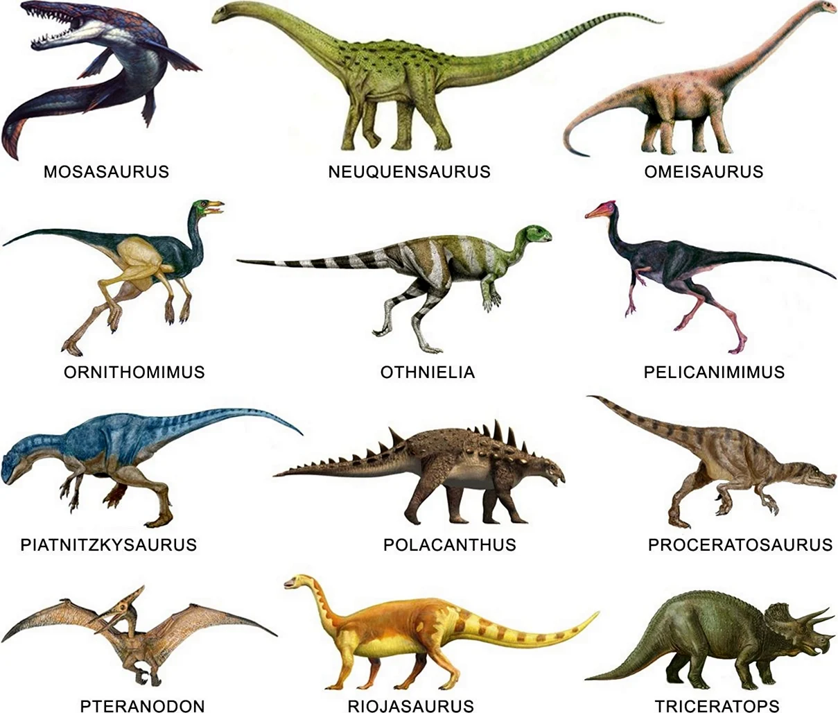 Классификация хищных динозавров. Картинка