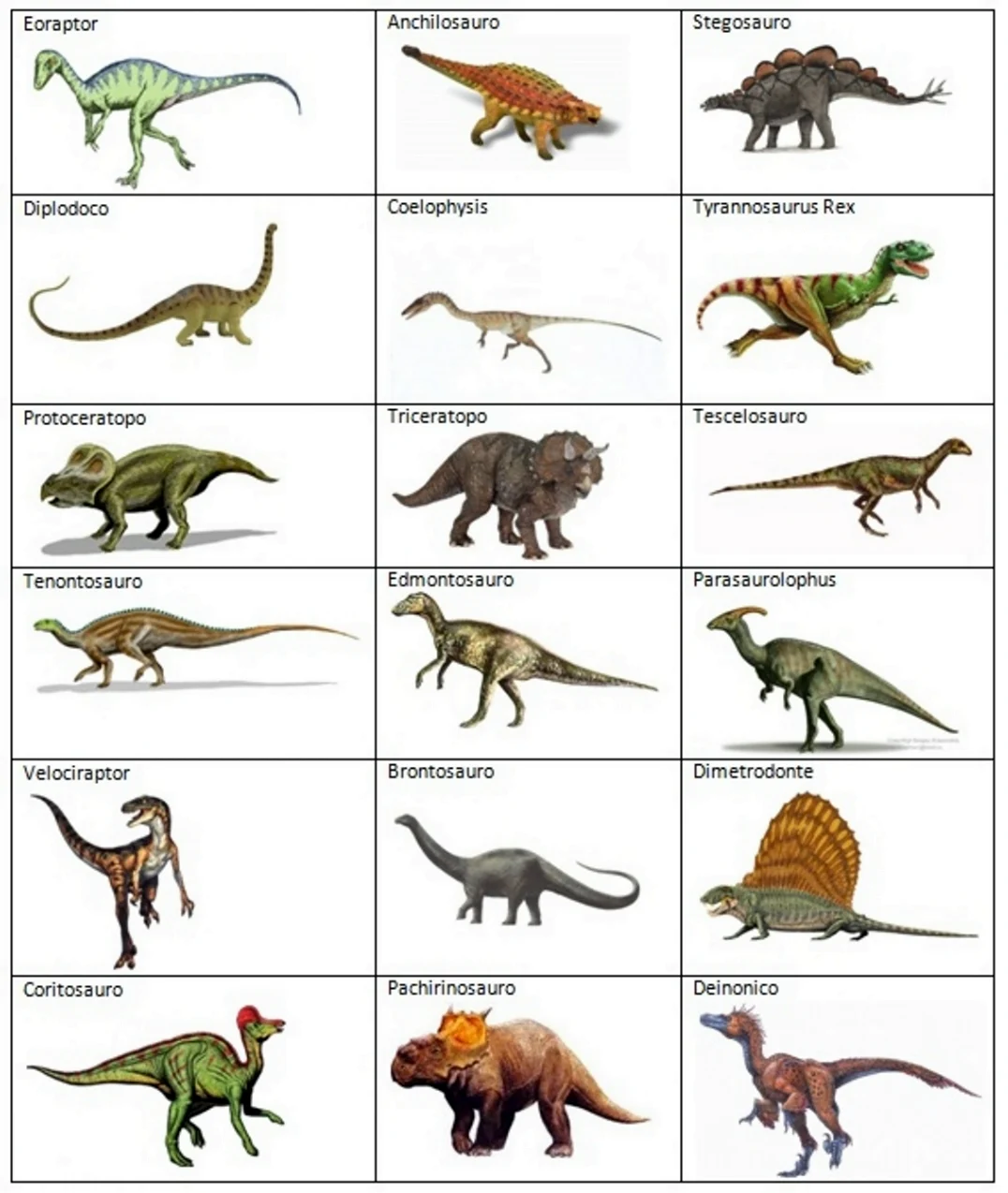 Классификация хищных динозавров. Картинка