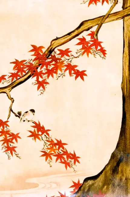 Клен японская Ксилография. Красивая картинка