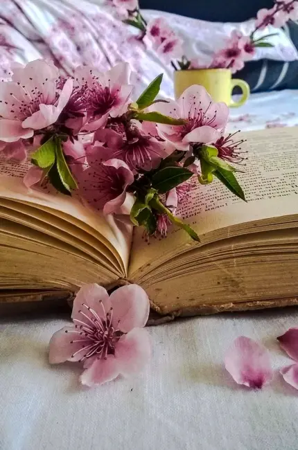 Книга цветы. Красивая картинка