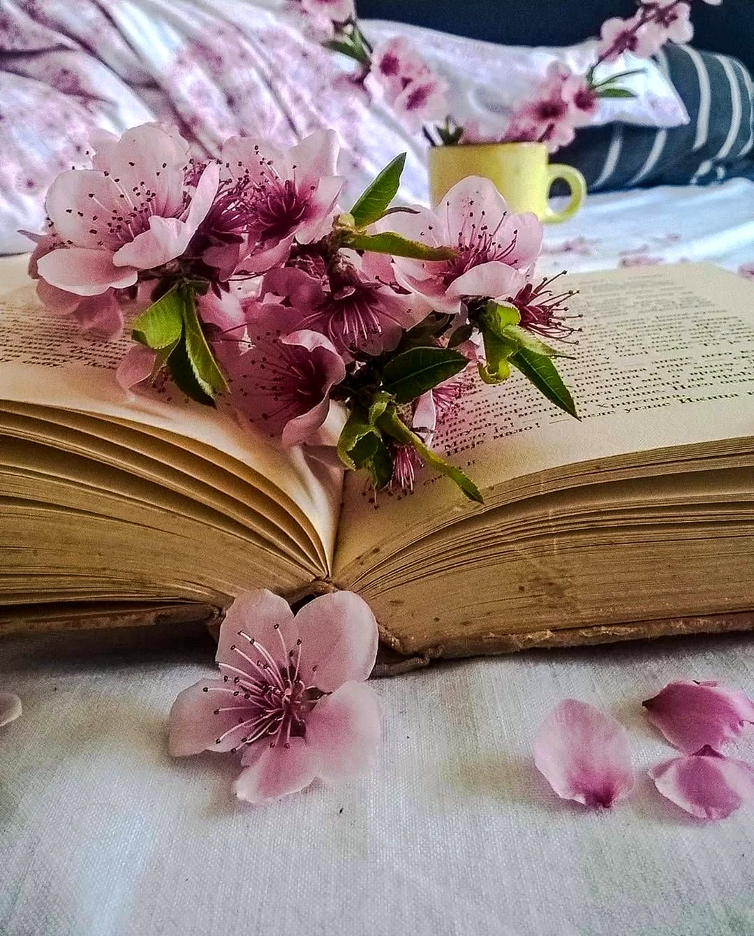 Книга цветы. Красивая картинка
