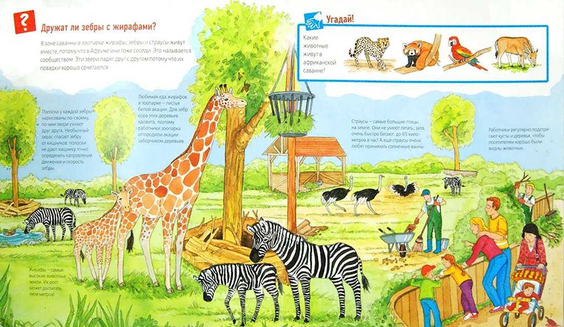 Книга животные зоопарка. Анекдот в картинке